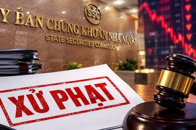 Công ty Cổ phần TIE bị phạt hơn 200 triệu đồng