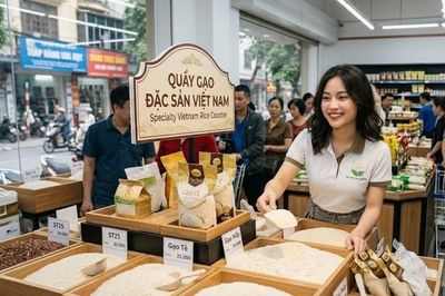 Giá lúa gạo hôm nay 2.10.2026: Nguồn cung ổn định, giá khó bật mạnh