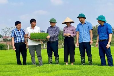 Đào tạo nghề cho lao động nông thôn
