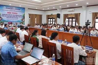 Đà Nẵng: Chuyển đổi số thúc đẩy tăng trưởng hai con số trong phát triển kinh tế vườn, kinh tế trang trại