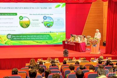 Đẩy mạnh chuyển đổi xanh, chuyển đổi số trong sản xuất lúa chất lượng cao