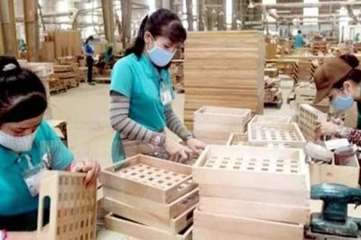 Xây dựng thị trường gỗ nội địa hợp pháp, chất lượng và bền vững