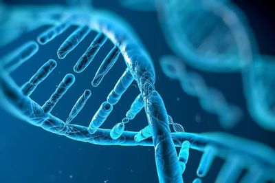 Đức lần đầu điều trị thành công cho bệnh nhân bằng thuốc chỉnh sửa gene