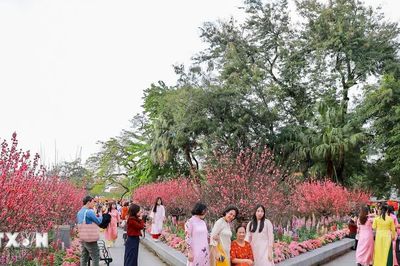 'Chốt' lịch nghỉ dịp Ngày Văn hóa Việt Nam 2026, Tết Nguyên đán và Quốc khánh năm 2027