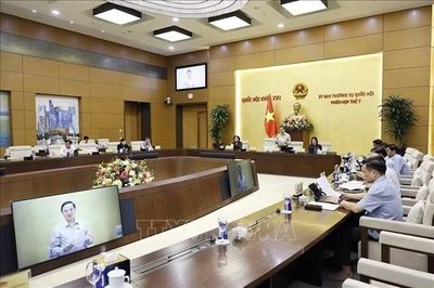 UBTV Quốc hội cho ý kiến sửa Luật Nhà ở, Luật Kinh doanh bất động sản