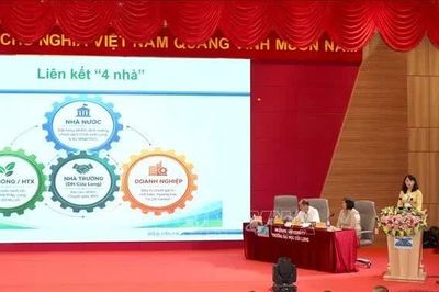 Chuyển đổi xanh, chuyển đổi số trong sản xuất lúa chất lượng cao