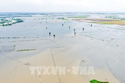 Lũ trên sông Đồng Nai vượt báo động 1, nguy cơ lũ quét, sạt lở tại Lâm Đồng
