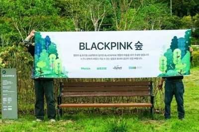 BIGBANG, BLACKPINK, SHINee được đặt tên rừng tại Seoul
