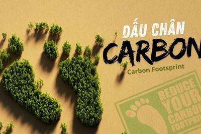 Quản trị dấu chân carbon bằng công nghệ: Chiến lược cho sản xuất Việt Nam