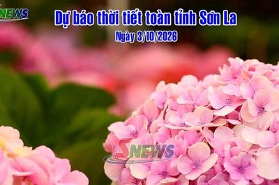Dự báo thời tiết toàn tỉnh Sơn La ngày 3/10/2026