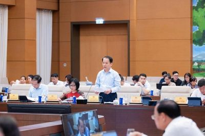 Đề xuất cho phép nghị định điều chỉnh luật trong trường hợp cấp bách
