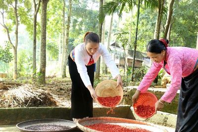 Hiệu quả tín dụng chính sách nhìn từ vùng cao Lạc Sơn
