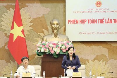 Hoàn thiện quy định về thủ tục chấp thuận chủ trương đầu tư các dự án điện lực