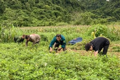 Động lực phát triển kinh tế - xã hội vùng đồng bào dân tộc thiểu số và miền núi