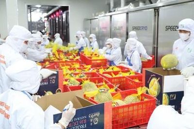 Truy xuất nguồn gốc - 'hộ chiếu' để hàng Việt đi xa