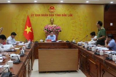 Đắk Lắk rà soát các dự án chăn nuôi, ưu tiên liên kết chuỗi tạo giá trị gia tăng bền vững