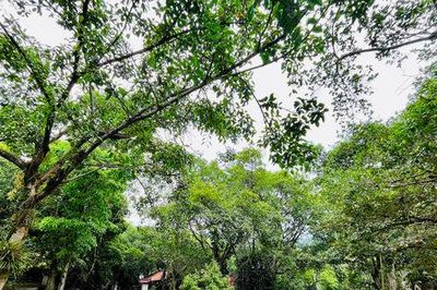 Điều chỉnh diện tích đất tại Khu du lịch văn hóa Sóc Sơn