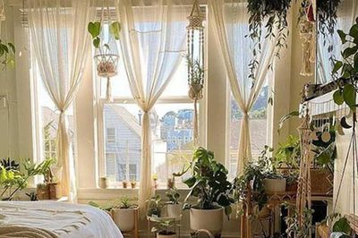 Cách trang trí cửa sổ bằng cây xanh độc đáo, giúp không gian sống trở nên tươi mới