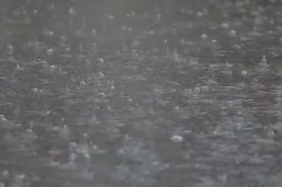 [Video] Nam Bộ có thể xuất hiện 1-2 đợt mưa lớn trong tháng 10