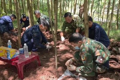 Liên tiếp phát hiện 13 hài cốt liệt sĩ ở Quảng Trị