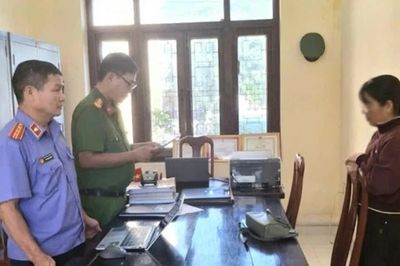 Gia Lai: Khởi tố người phụ nữ lừa đảo, chiếm đoạt 7,3 tỷ đồng