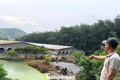 Lắp hệ thống bơm, xả chất thải không qua xử lý, trại heo bị phạt 70 triệu đồng