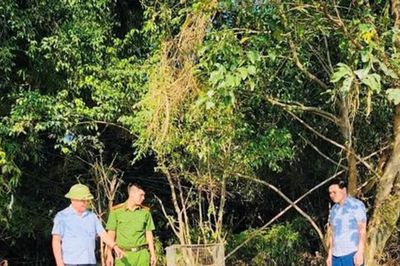 Thả 13 cá thể chim về môi trường tự nhiên