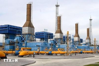 Nga để ngỏ khả năng dỡ bỏ một phần lệnh cấm xuất khẩu dầu diesel