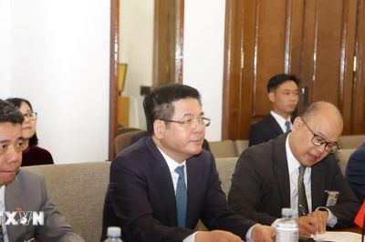 Khai mở dư địa hợp tác kinh tế, thương mại Việt Nam-Nam Phi