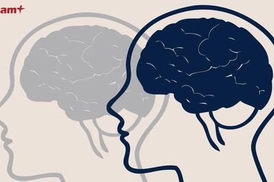Quan niệm 'não trái logic, não phải sáng tạo' dưới góc nhìn khoa học