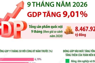9 tháng năm 2026: GDP tăng 9,01% so với cùng kỳ năm trước