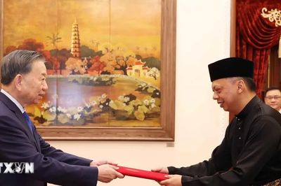 Tổng Bí thư, Chủ tịch nước Tô Lâm tiếp các Đại sứ Đặc mệnh toàn quyền các nước trình quốc thư