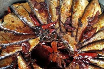 Loại cá bình dân được chuyên gia Mỹ ca ngợi 'tốt hơn cá hồi', giá chỉ vài chục nghìn/kg