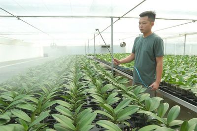 Thanh Hóa: Công nghệ vào ruộng, nông sản tìm đường ra thị trường