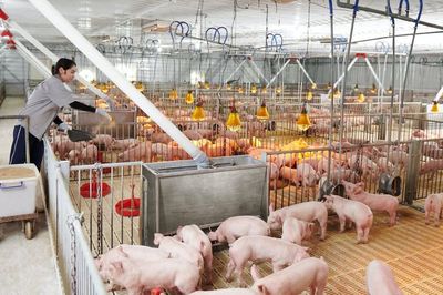 Cuộc chơi ngàn tỷ mới của các đại gia Việt