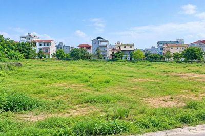 Đồng Nai lên kế hoạch đấu giá quyền sử dụng đất năm 2026