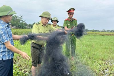 Xã Mỹ Thái: Một ngày phát hiện 3 vụ vi phạm quy định về bảo vệ động vật hoang dã