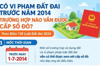 Infographic Có vi phạm đất đai trước năm 2014: Trường hợp nào vẫn được cấp sổ đỏ?