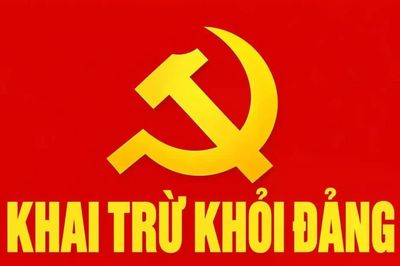 Cựu Phó trưởng Phòng Tài nguyên và Môi trường TP. Quảng Ngãi bị khai trừ khỏi Đảng