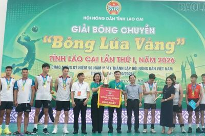 Bế mạc Giải bóng chuyền “Bông lúa vàng” năm 2026