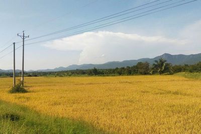 Tính toán từ trong mưa lũ