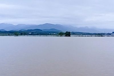 Mưa 'trút nước' ven sông La Ngà