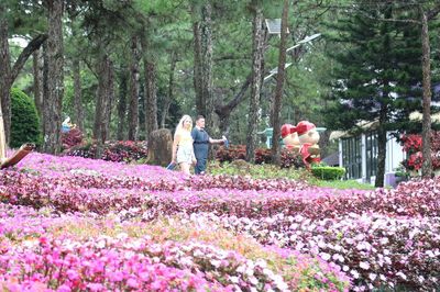 Chờ đón một Festival Hoa Đà Lạt nhiều sắc màu
