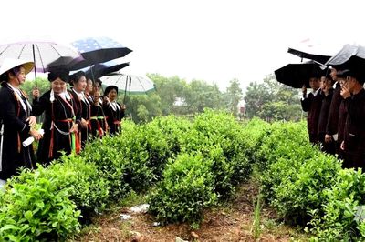 Giữ tiếng hát, giữ hồn văn hóa Sán Dìu