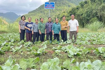 Ra mắt Tổ hội nông dân 'Trồng rau an toàn'