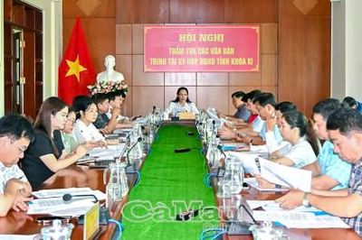 Xây dựng Nghị quyết về phát triển thanh niên Cà Mau: Cần sát thực tiễn, rõ chỉ tiêu