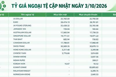 Tỷ giá ngoại tệ ngày 3/10: USD ổn định, SGD bán ra hơn 20.600 đồng, CNY tiến sát 3.940 đồng