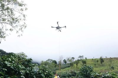 Việt Nam mở không gian tăng trưởng mới từ kinh tế tầm thấp
