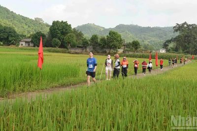 Gần 700 vận động viên tranh tài tại giải leo núi Cốc San 'sắc vàng mùa thu 2026'