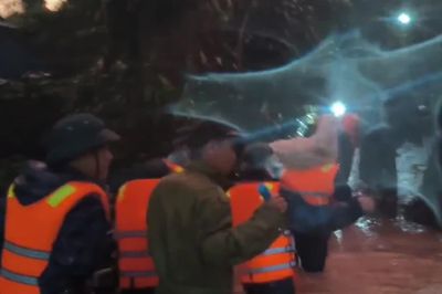 [Video] Lâm Đồng: Mưa lớn khiến nhiều hộ dân, du khách phải sơ tán, hơn 300 ha cây trồng bị thiệt hại